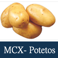 mcx-potatos tips
