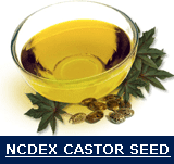 ncdex castor seed oil tips